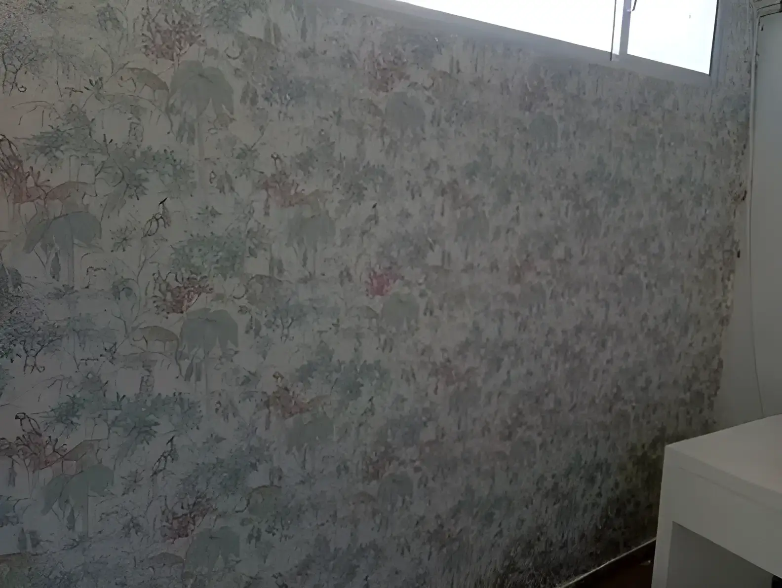 Los Pintores Guadalajara colocando papel pintado decorativo en pared completa de habitación